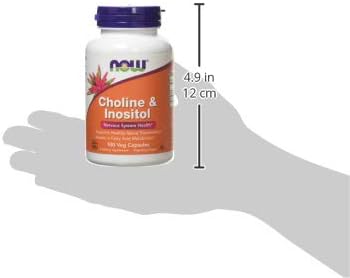 NOW Foods Choline & Inositol, 500 mg, 100 Capsules