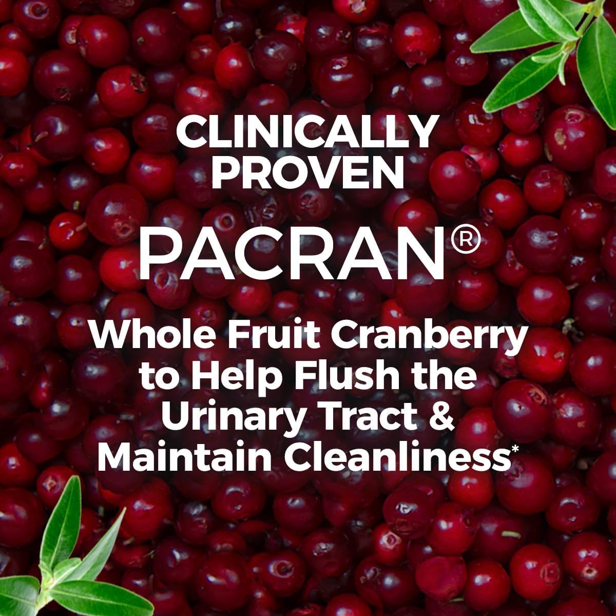 AZO Cranberry Supplement, Made with Concentrated Whole Fruit Cranberry Powder to Help Cleanse and Protect the Urinary Tract*, Sugar Free Cranberry Pills, Non-GMO, Softgels